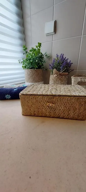 Apartamento Zise Flor-De-Lis Conceição